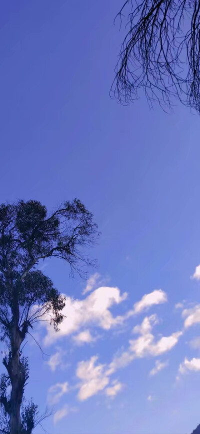 “越是憧憬 越是风雨兼程”