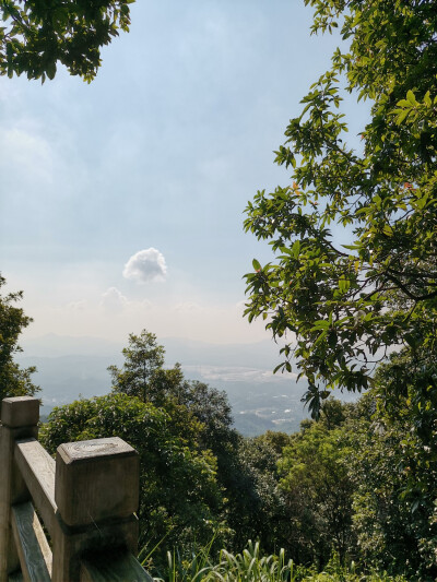 风景