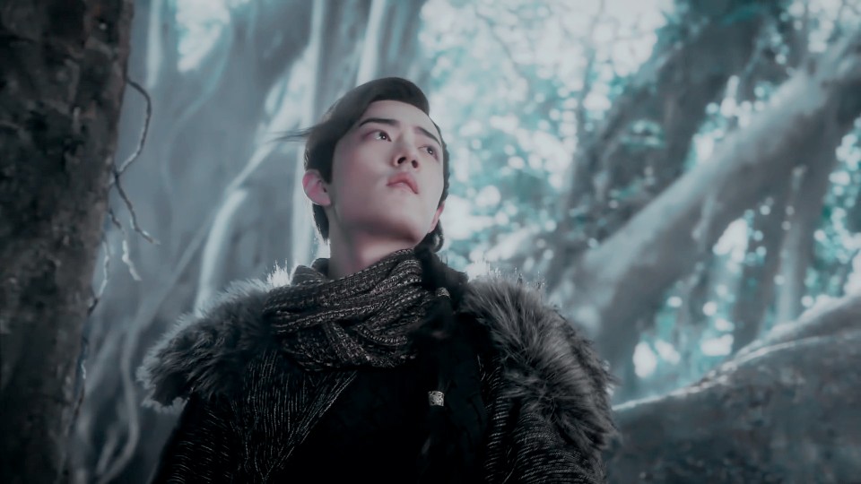 肖战 林修崖 斗破苍穹