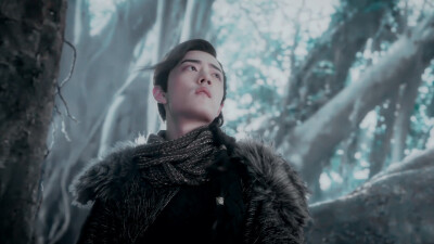 肖战 林修崖 斗破苍穹