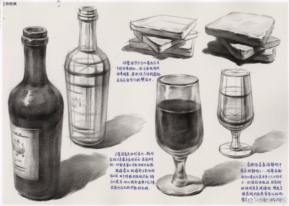 一份清晰明了的【素描水果单体范画】