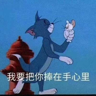 最近喜欢上了一个包藏男孩