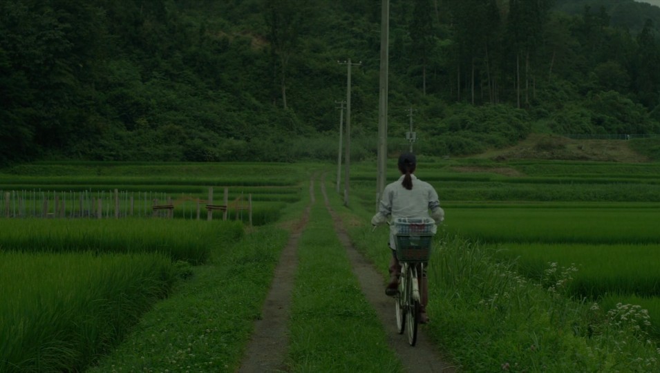 小森林，田间，骑行，去镇上