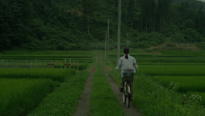 小森林，田间，骑行，去镇上