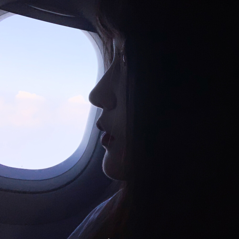 二传注明堆糖：养