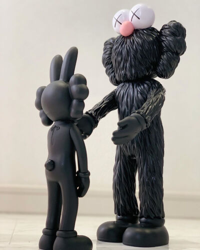 我爱kaws~