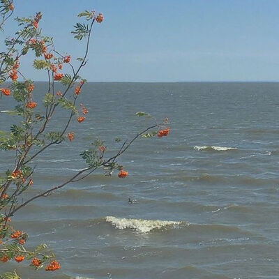 复古，浪漫，唯美，背景，壁纸，头像