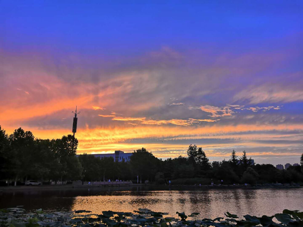景
