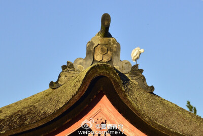 日式建筑屋顶