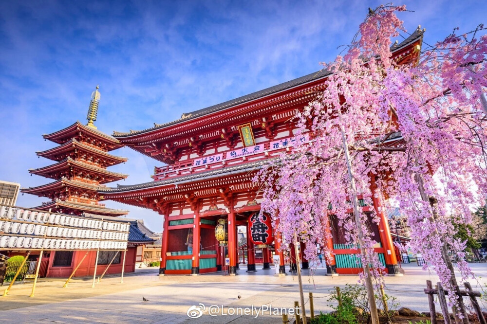 神社