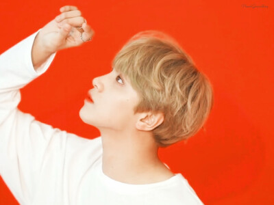 NCT/HAECHAN/李楷灿