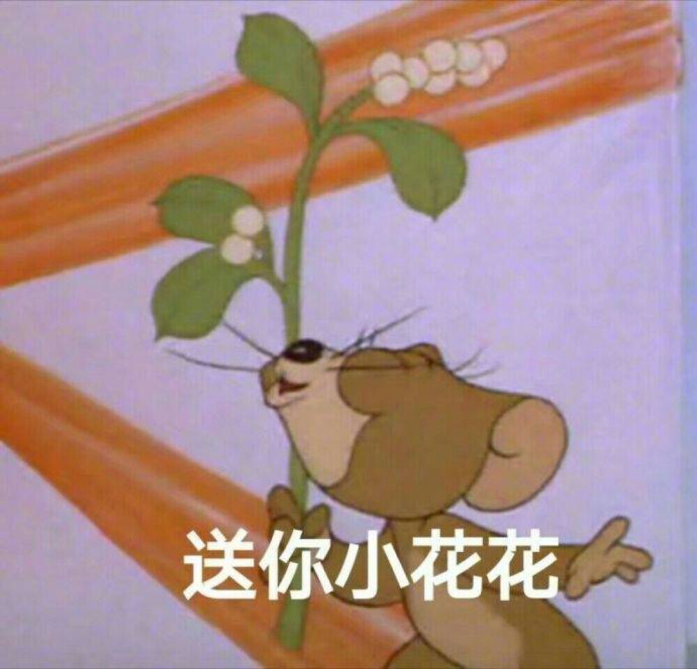 杰瑞