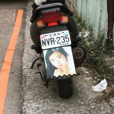 带带带带明星