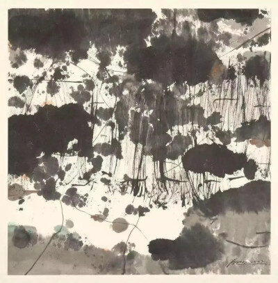 白明 光影之荷 2017，纸本水墨, 68 x 68cm