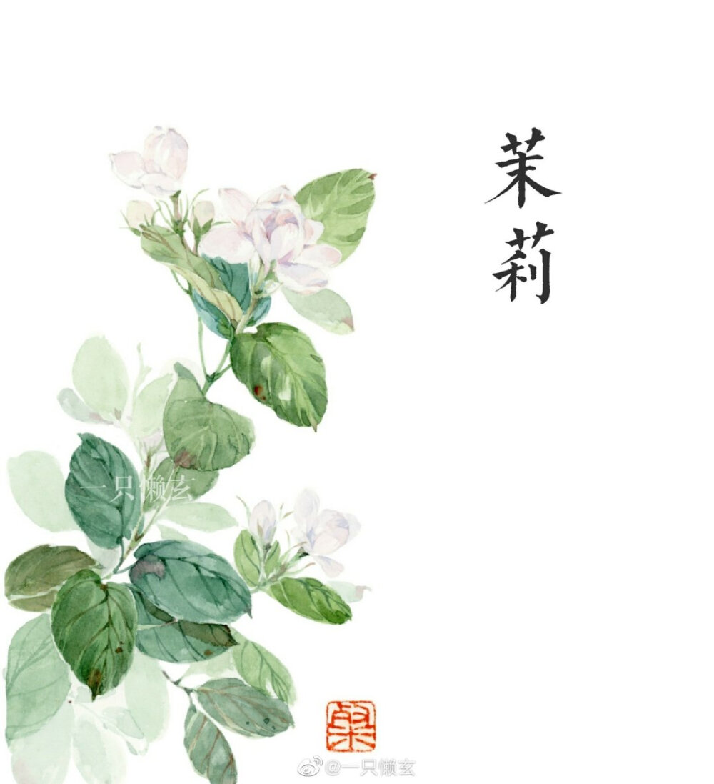 水彩植物 花卉
画师：一只懒玄