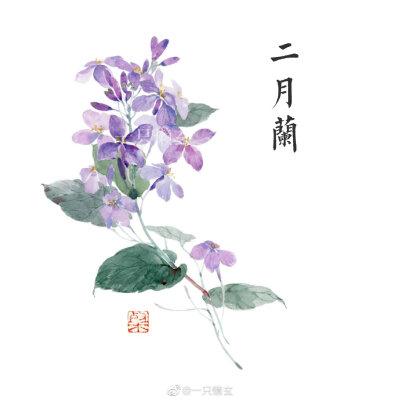 水彩植物 花卉
画师：一只懒玄