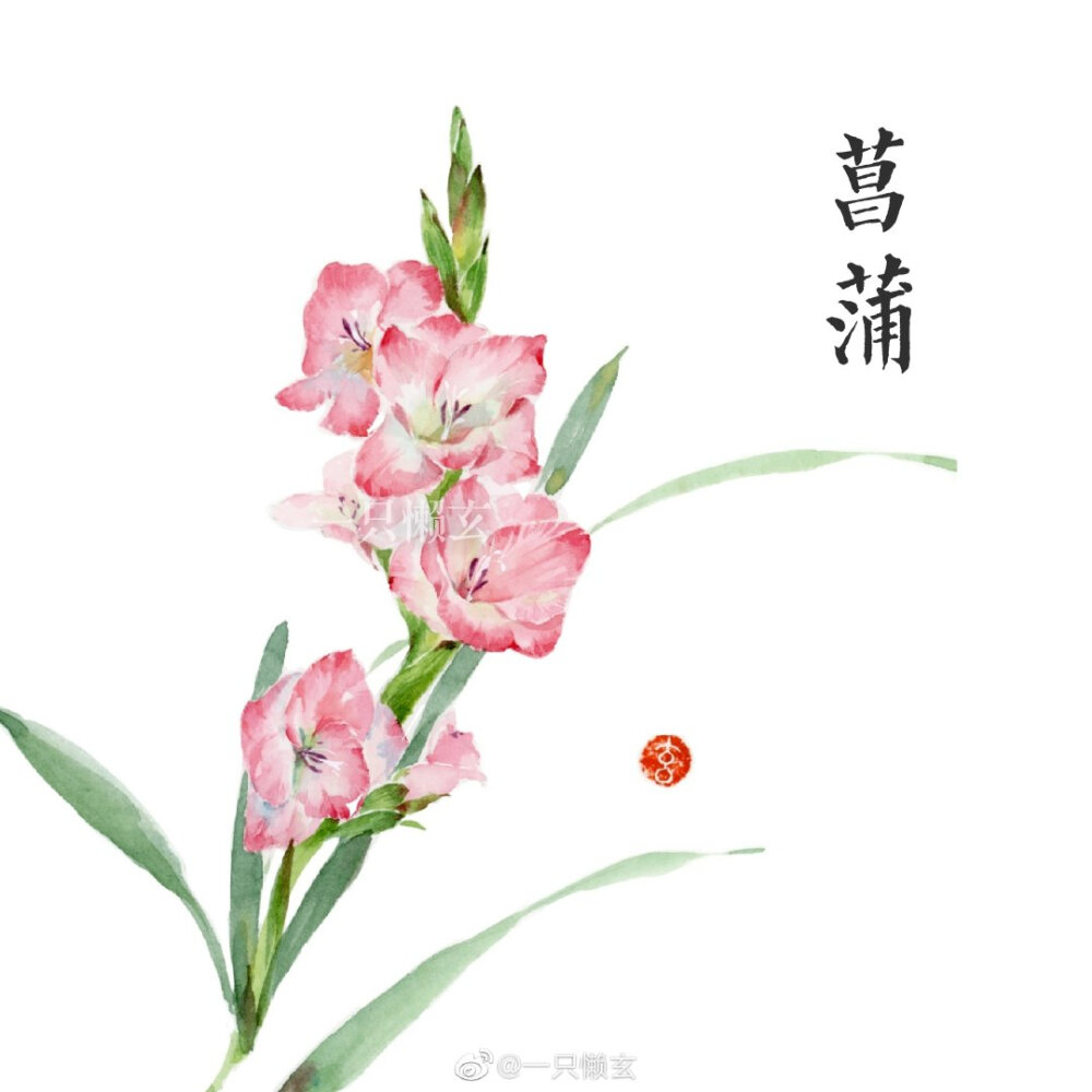 水彩植物 花卉
画师：一只懒玄