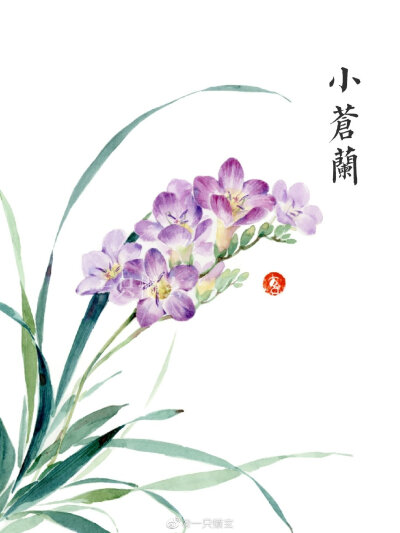 水彩植物 花卉
画师：一只懒玄