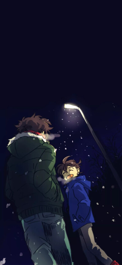 柯南 快新 柯基 壁纸