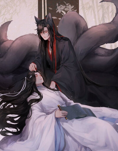 魏无羡 蓝忘机
魔道祖师