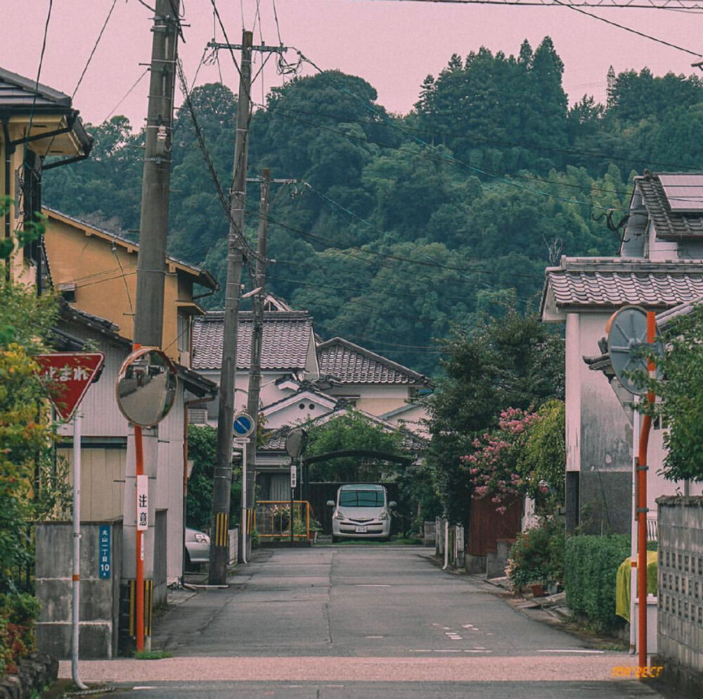 风景❤️