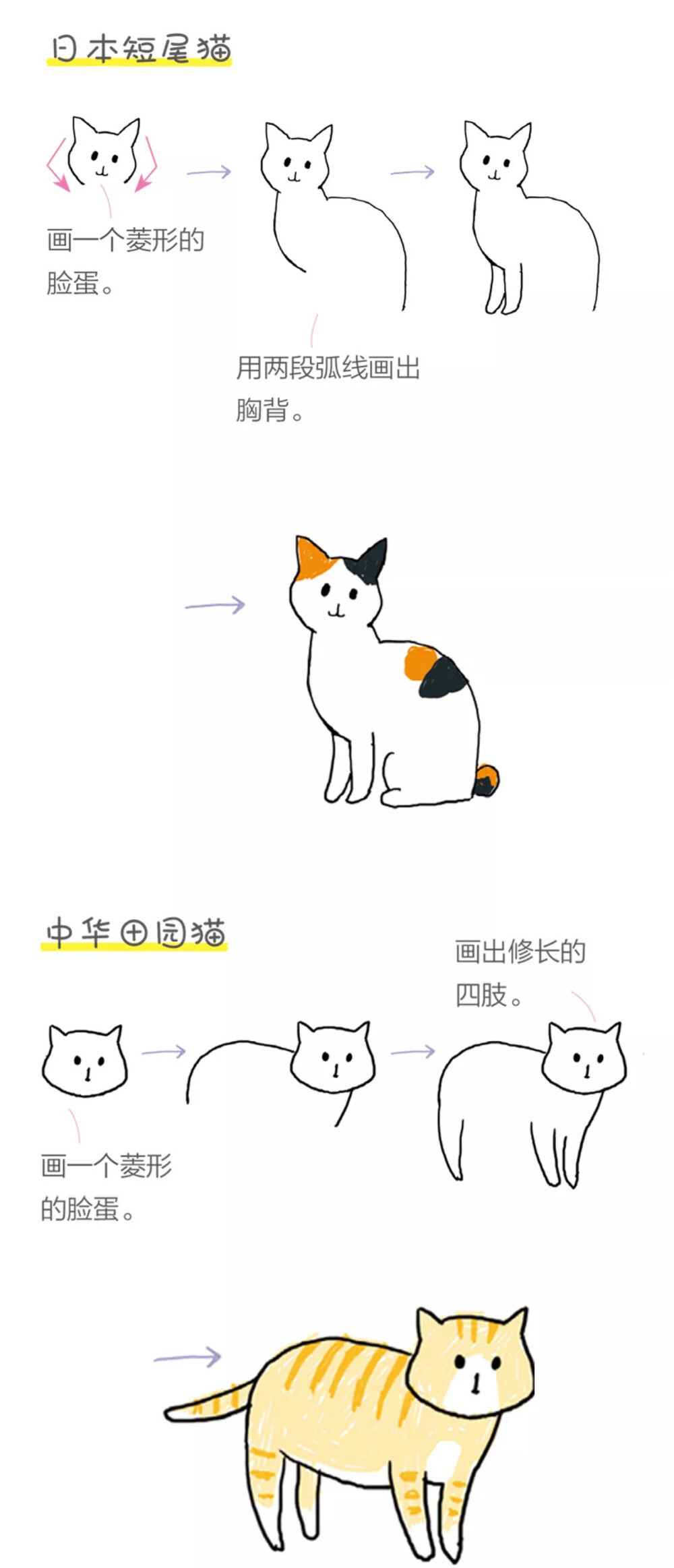 猫咪