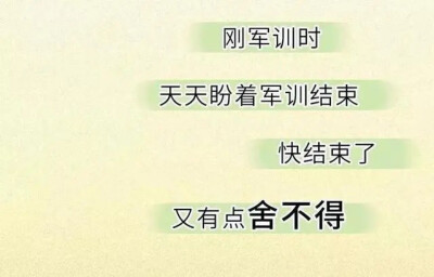 后面还有哟，下次继续发