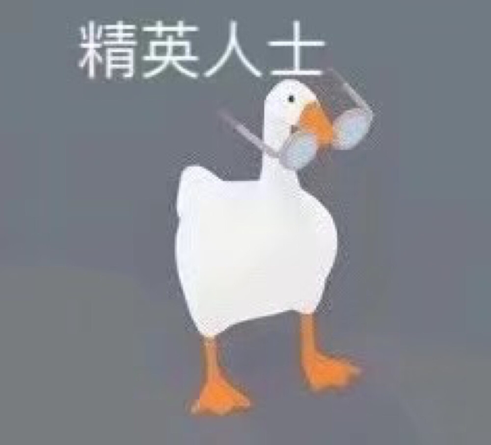 大白鹅表情包