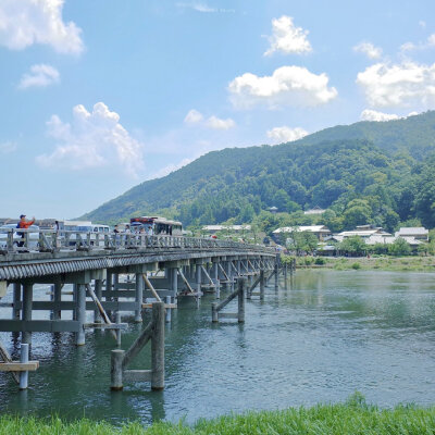 「 若 草 山 上 小 鹿 乱 撞 」⛰
摄影@打烊日记本