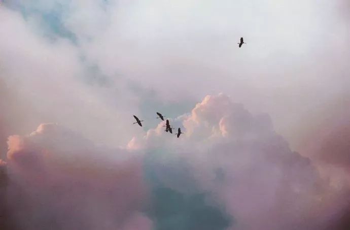 空间./朋友圈.背景图
天气./风景./人物.背景图
生活岁月静好.
愿你也能有甜甜的好心情.
✨