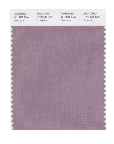 pantone 17-1605