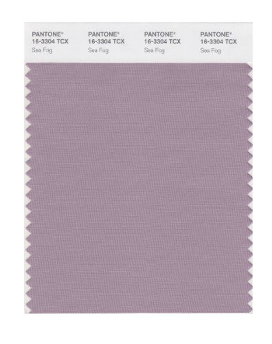 pantone 16-3304
