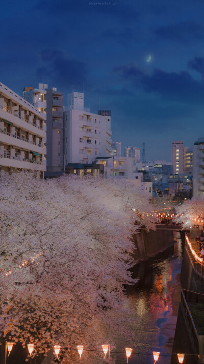 你所在的城市♡
•图源水印
