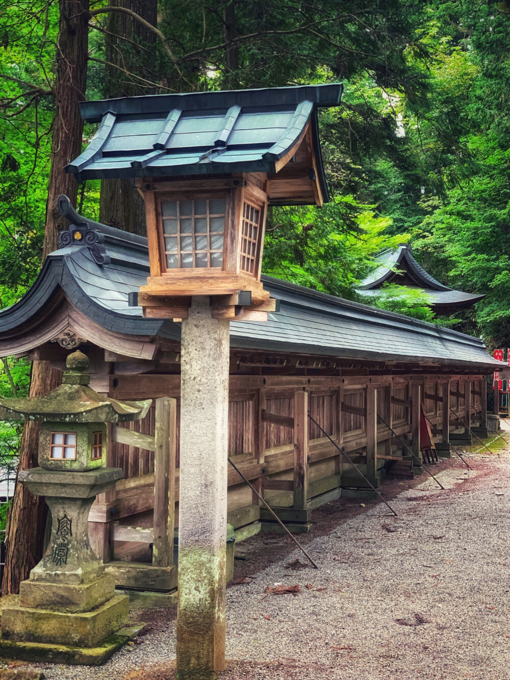 神社 小镇 空空的街景 沿途金灿灿的稻田
都能涤荡被喧嚣都市浸润许久的身心
图5是这趟旅程的惊喜 可惜没能捏脸
原路返回时估计被主人带回屋了
胖柴小天使 要快快乐乐成长啊 ❤︎