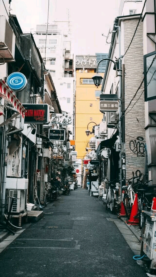 街道