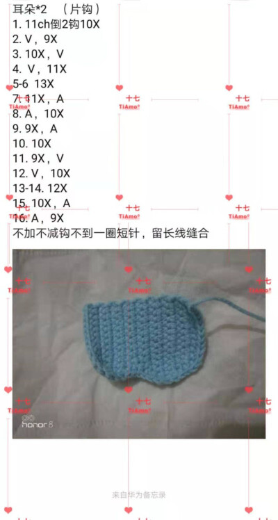 小象2/2