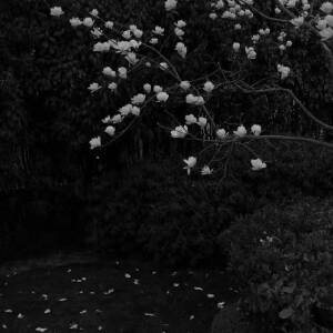 会者定离 一期一祈