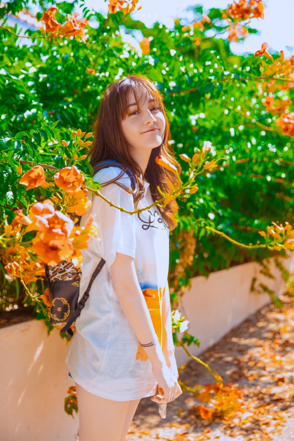 cr:半颗孤星- 饭修/迪丽热巴漫游全世界/希腊