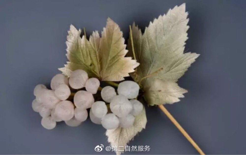 #第二自然饰品# 阅读原文详情戳链接：http://t.cn/AiE19GFD
绒花是以蚕丝绒、染料、黄铜丝为材料，经能工巧匠精编细织而成的，历经了几百年，今日仍旧开的鲜艳。绒花，也被称为“发髻上的南京”，历史十分悠久，相传早在唐代武则天时便被列为皇室贡品，令嫔妃宫女们一见倾心，明清时代更具规格，清康熙、乾隆年间为极盛时期。