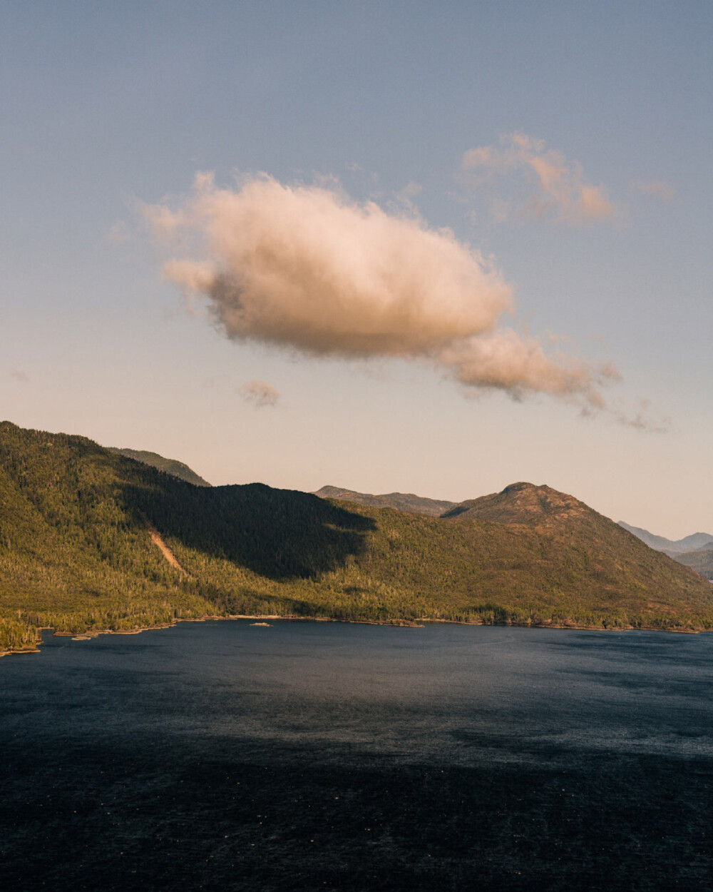 野梦