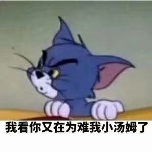 汤姆猫和杰瑞