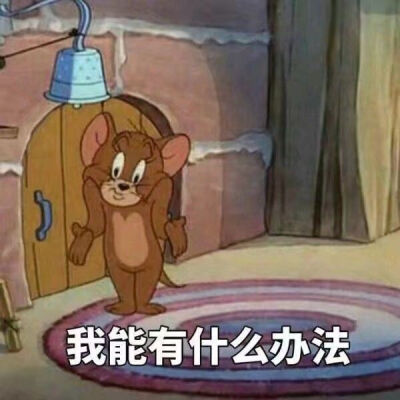 汤姆猫和杰瑞