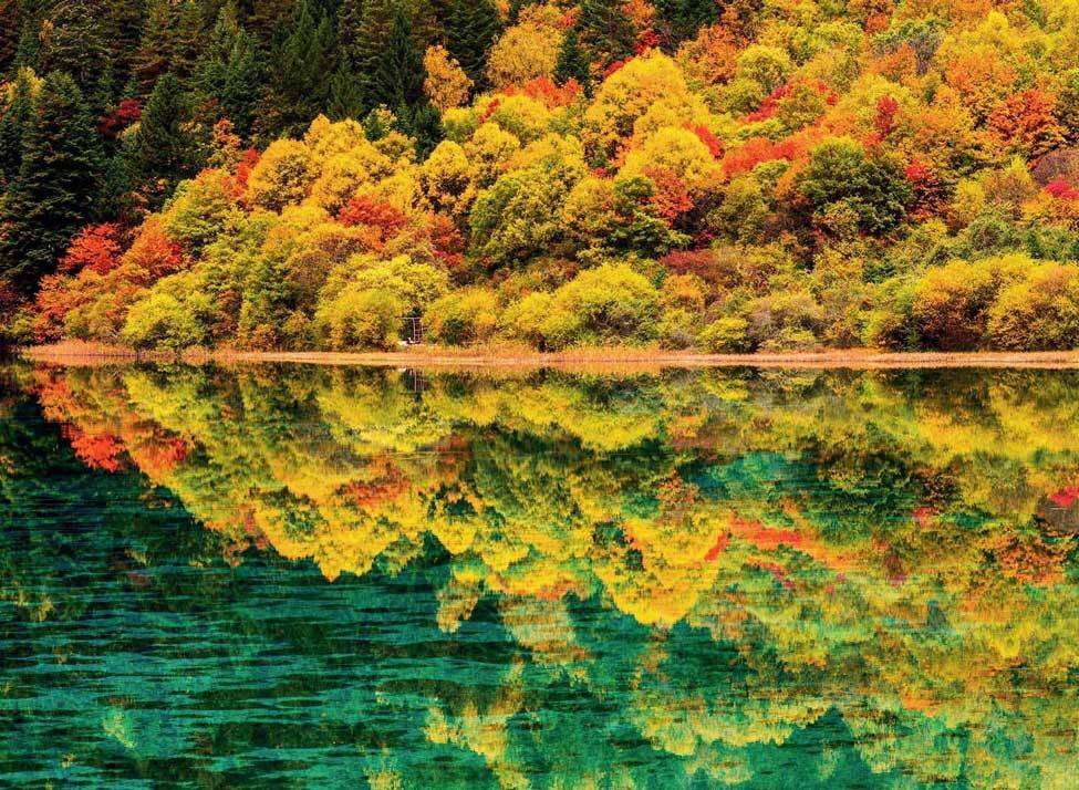 九寨沟五花海 - 堆糖，美图壁纸兴趣社区