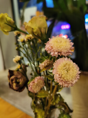 等茶
