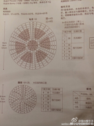 乌龟