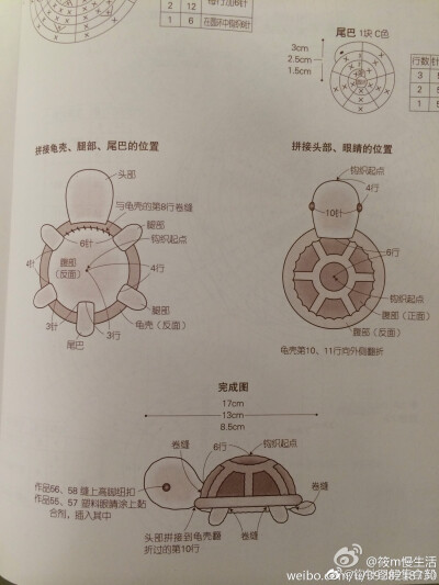 乌龟