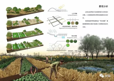 玩转滨水景观！—广东文艺职业学院艺术设计系城市园林与景观方向毕业作品
