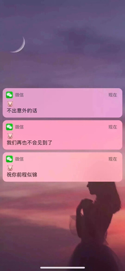 橘子果酱的壁纸