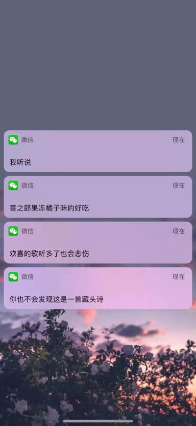 橘子果酱的壁纸