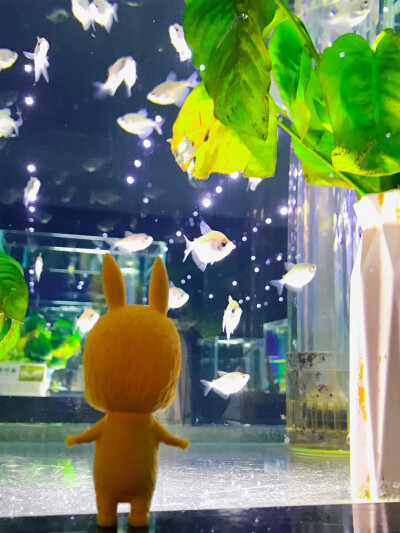 labubu